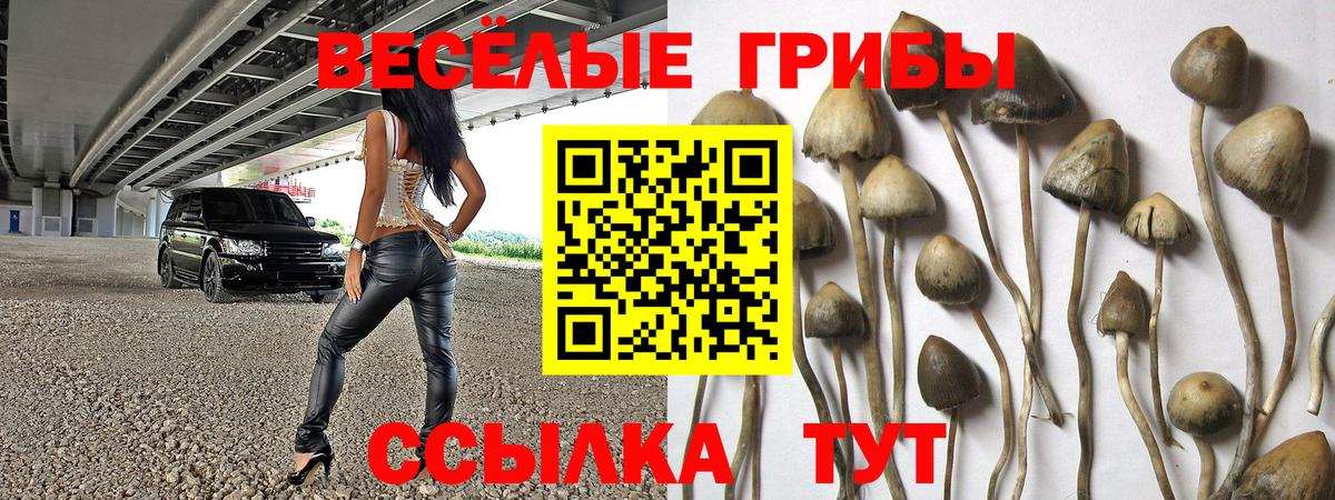 Заводоуковск  Галлюциногенные грибы ЛСД  Вход с VPN 